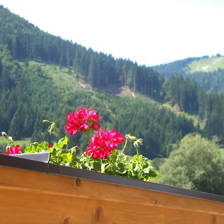 Traumblick Apartman *